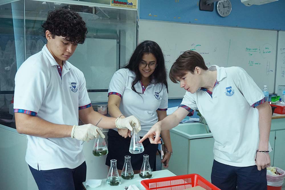 IB Diploma students during Science lesson