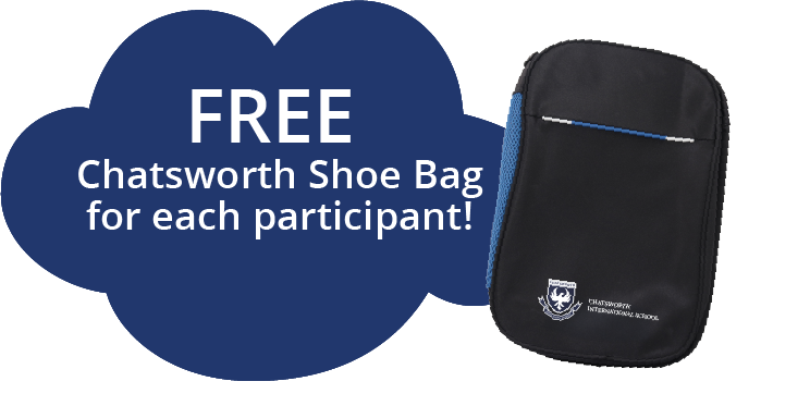 shoe bag